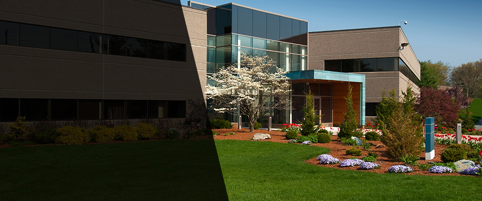 Carlisle Landscapers